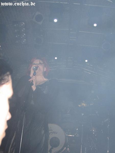 Lame Immotrelle vom 20.02.2008-008.jpg